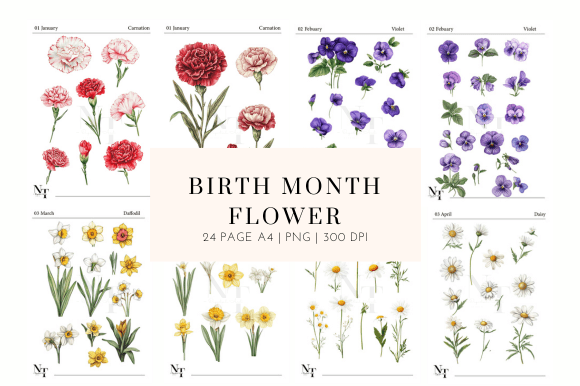 Birth Month Flower Clipart PNG: Your Complete Creative Toolkit