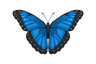 Blue Butterfly Illustrations: Elevate Your Brand with Nature's Elegance