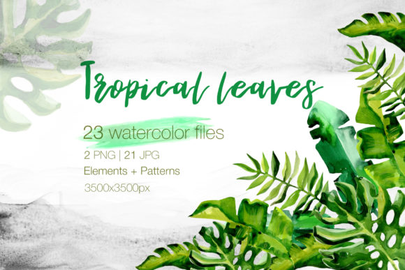 Bring Nature Indoors: The Succulent Tropical Leaves Watercolor Set