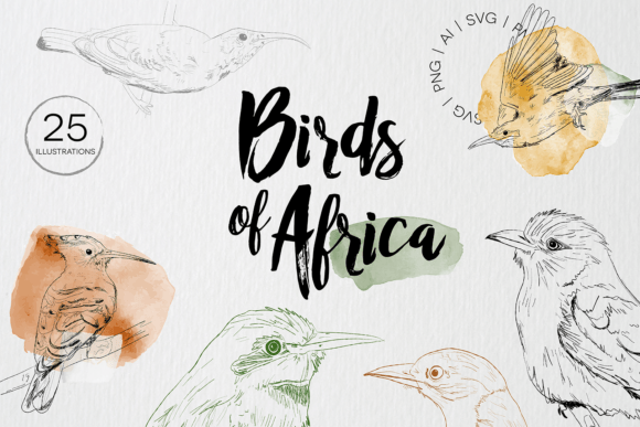 Bringing the Wild to Your Designs: African Bird Illustrations