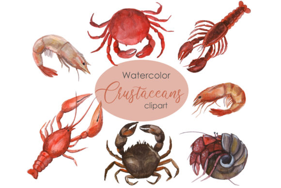 Watercolor Crustacean Clipart: Nautical Charm for Your Projects